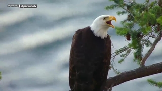 جزیره گرگ‌های دریایی ؛ 2022 ؛ فصل 1 ؛ قسمت 3