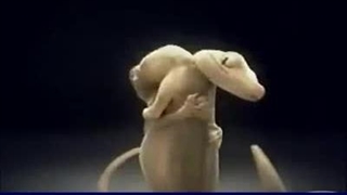 سقف یوبوت قالب یوبوت