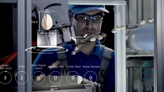 سورتر هوشمند پسته با تشخیص 100 ها پارامتر پسته و مغز AI pistachio Sorter