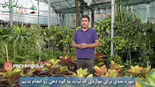 موارد ممنوعه کود دهی