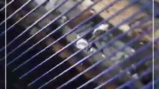 مستربچ آبی تولید شده در هامون بسپار