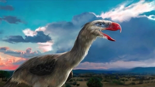 ترور بیرد تنها پرنده تروریست تاریخ