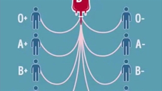 سازگاری انواع گروه خونی