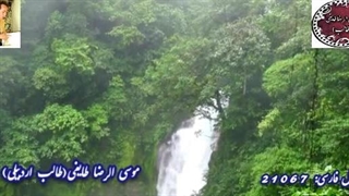 شعر شیوا و شاهکار شنیدنی | شعر تر قناد از غزلسرا طالب