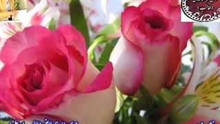 ادبیات پارسی | آوای عاشقی شاعر طالب آذربایجانی | ننگ دفتر باد...