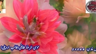 شعر فصیح و سلیس و شیوا از غزلیات شیرین طالب آذربایجانی | خانه دلدار شاعر