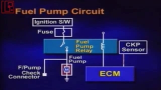 Fuel pump -  KIA , Hyundai motors - 448