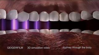 سفر به اعماق دهان انسان