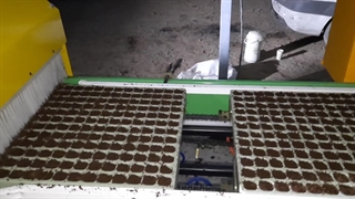 بذر کار سینی نشا تیداپارس برای پرکردن اتوماتیک سینی های نشا