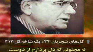 محمدرضا شجریان - نه مجنونم