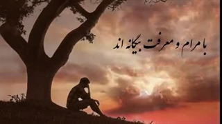 آهنگ جدید محسن احسنی رک بگویم - میفاموزیک