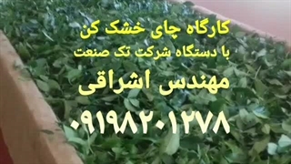 خط تولید چای خشک کن