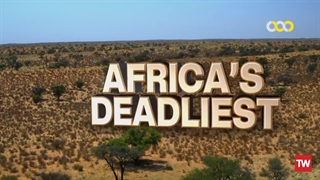 مرگ‌بارترین حیوانات آفریقا ؛ 2022 ؛ فصل 7 ؛ قسمت 3