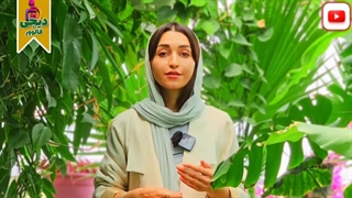 بهترین برنامه برای دانلود از یوتیوب برای اندروید و ios