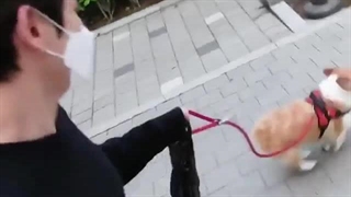 و اینجاست که برای بار هزارم میگم کاش سگ بودم-)))-480p