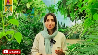 چگونه سابسکرایب رایگان بگیریم؟ افزایش سابسکرایب یوتیوب