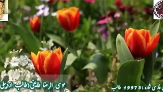 شعر رویایی عارفانه | روی ماه | اشعار شیوا و نوشین فریبا از طالب