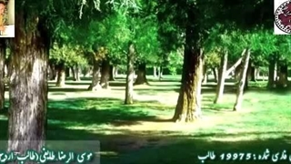 شعر نوشین و رویایی فریب | اشعار دلربا از طالب | آوای ماندگار شاعر