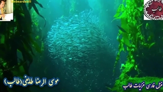 دکلمه شعر عاشقانه رویایی | عهد نامه از اشعار محبوب طالب | آوای ماندگار 3