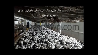 تولید و فروش کمپوست قارچ