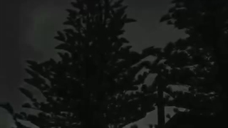 ⅅᎯℛᏦ Ꮙℐℬℰ