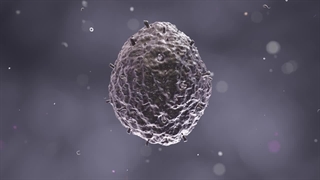 نانو ذره الکتریکی(افشین رشید)