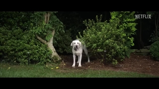 تریلر فیلم Dog Gone 2023