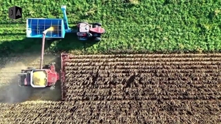 نماد جمجمه در سر گندم مجله اکونومیست به چه معناست؟