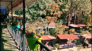 رستوران ورجین