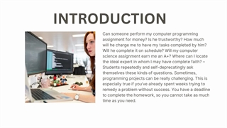 How much should a programming assignment cost?