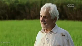 کلیپ یوسف هاشمی زاده ( کاشف برنج هاشمی )