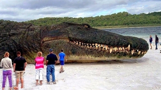 حیوانات خفنی که دیدن اونا مث یه کابوس وحشتناک میمونه