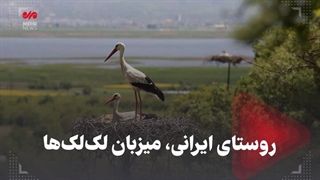 روستای ایرانی میزبان لک لک ها هایفوتراپی