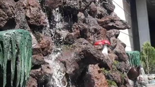 اجرای سنگ لاشه فروش سنگ ورقه ای ازمعدن انواع سنگ   اجرای کننده آقای قیومی ۰۹۱۹۳۹۹۶۹۶۴