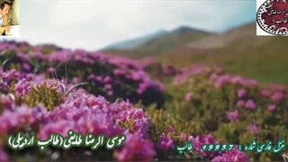 هوای عاشقی در شعر ناب ایمای لب از اشعار طالب