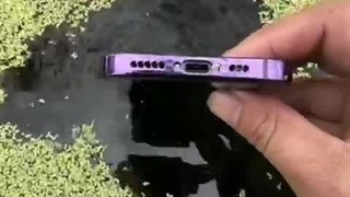 تصویر زیر مرداب