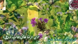 هوای عاشقی طالب در شعر ناب رحمی کن با صدای خود شاعر