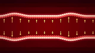 از گردش خون چه می‌دانید؟