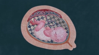 پریود در زنان چیست؟