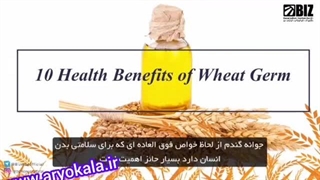 پودر جوانه گندم دکتر بیز