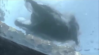 دانلود فیلم وایکینگ ها