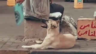 ط مهربون باش