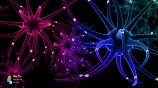 شباهت های جهان و مغز انسان، آیا کیهان هم فکر میکند؟!