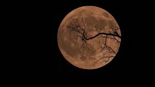 بی راهه جن عاشق قسمت اول