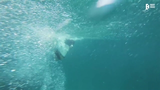 ولاگ شوگا در کنسرت تایلند ، جزیره پوکت D - DAY Tour In Phuket ( با زیرنویس فارسی چسبیده )