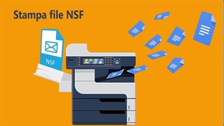 Softaken Software di conversione da Lotus Notes a Outlook