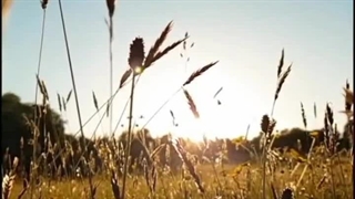 استوری ارام بخش