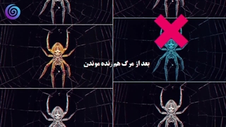 حیواناتی که حتی بعد از مرگ زنده می‌مانند!