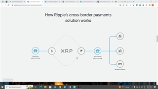 بررسی پروژه ریپل