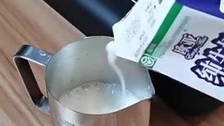 پیچر حرفه ای استیل